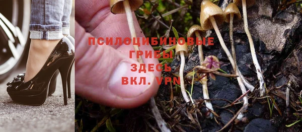 меф VHQ Гвардейск