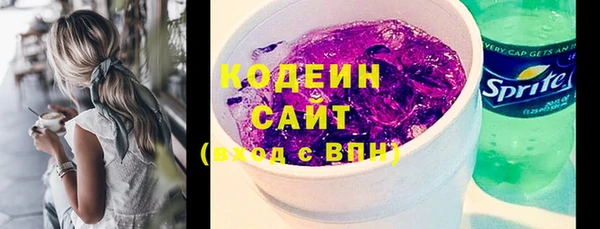 соль ск Гатчина